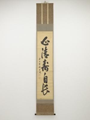 前大徳藤井誡堂筆　「心清寿自長」一行書　肉筆紙本掛軸（共箱）